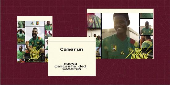 Camerun | Camiseta Camerun replica 2022