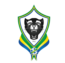 Gabon Camiseta | Camiseta Gabon replica 2022