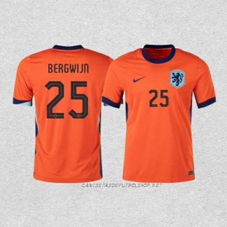 Camiseta Primera Paises Bajos Jugador Bergwijn 24-25