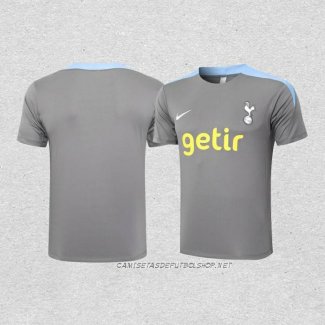 Camiseta de Entrenamiento Tottenham Hotspur 24-25 Gris